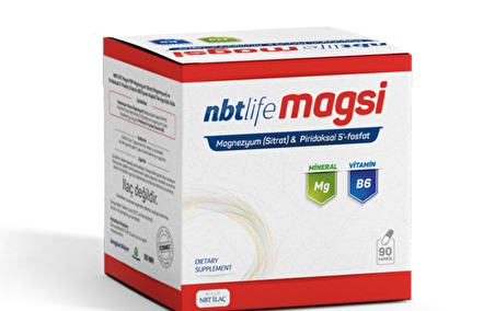 Magsi Magnezyum Sitrat + Piridoksal 5 Fosfat 90 Kapsül
