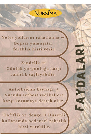 Selvi Kozalak Macunu 420 gr