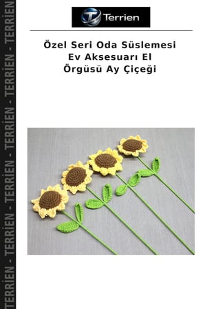 Özel Seri Oda Süslemesi Ev Aksesuarı El Örgüsü Ay Çiçeği