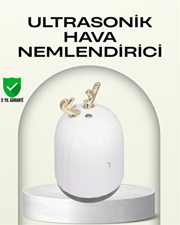 ABS+PP Malzemeli Taşınabilir 220 ml USB Mist Nemlendirici