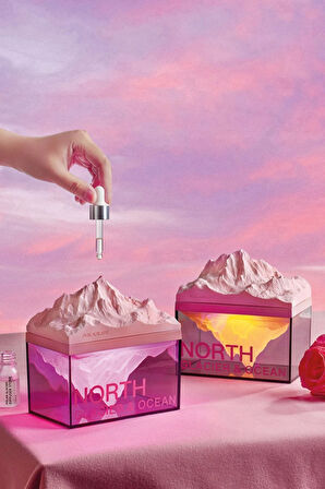 Z4 Kuzey Okyanus Temalı Gece Lambası Özellikli BT Kablosuz Hoparlör - Pembe-(579