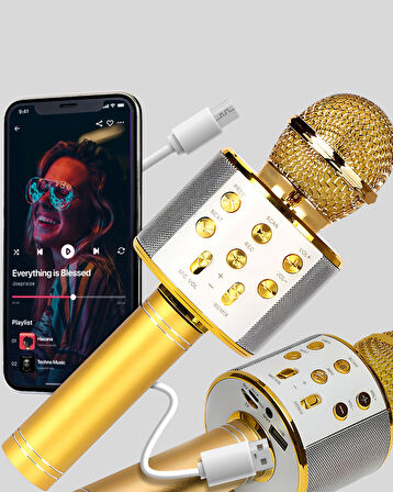 Kablosuz Karaoke Mikrofon USB AUX Destekli Parti ve Eğlence İçin