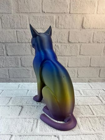 KOYU RAİNBOW KEDİ