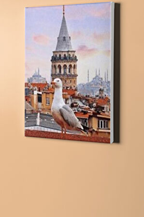Sayılarla Boyama Seti Kasnaklı Galatada Martı 40 X 50 Cm