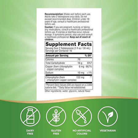 Nature's Way Chlorofresh Liquid Chlorophyll Copper Healthy Skin Body Detox Deodorant Supports Liver
