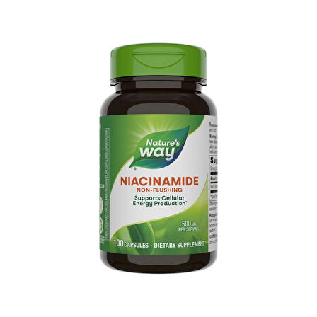 Nature's Way Niacinamide(NİACİN) B3 Non-Rhine (NON-FLUSH) 500 mg 100 Capsules
