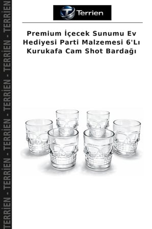 Premium İçecek Sunumu Ev Hediyesi Parti Malzemesi 6'Lı Kurukafa Cam Shot Bardağı