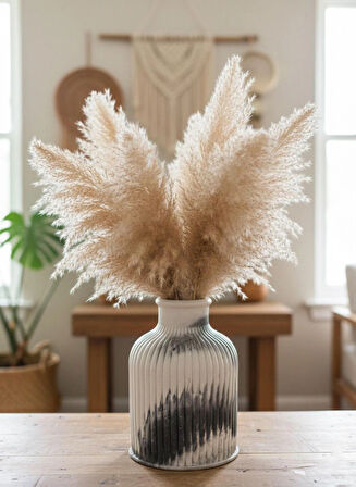 Vazo Rustic Bohem Ev Dekorasyon Siyah Beyaz Çizgili Modern Küçük Boy Pampas Çiçeklik