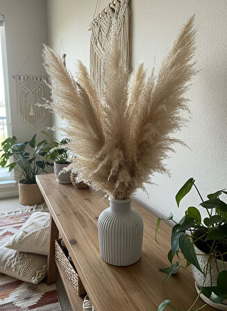 Vazo Rustic Bohem Ev Dekorasyon Siyah Beyaz Çizgili Modern Küçük Boy Pampas Çiçeklik