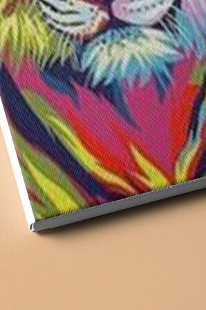 Sayılarla Boyama Seti Kasnaklı Kaplanın Renkleri 60 X 75 Cm