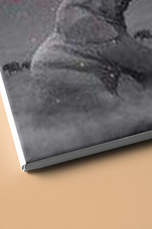 Sayılarla Boyama Seti Kasnaklı Filin Renkli Düşü 40 X 50 Cm