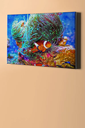 Sayılarla Boyama Seti Kasnaklı Kayıp Balık Nemo 50 X 65 Cm