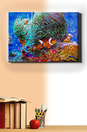 Sayılarla Boyama Seti Kasnaklı Kayıp Balık Nemo 60 X 75 Cm