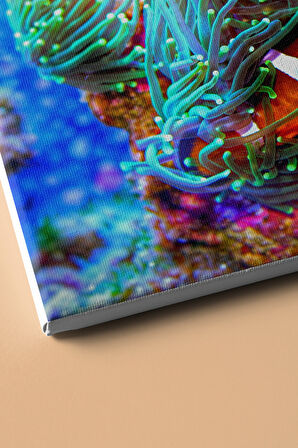 Sayılarla Boyama Seti Kasnaklı Kayıp Balık Nemo 60 X 75 Cm