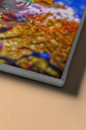 Sayılarla Boyama Seti Kasnaklı Kayıp Balık Nemo 60 X 75 Cm