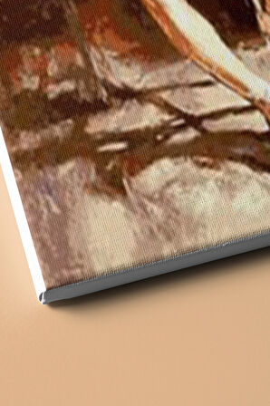 Sayılarla Boyama Seti Kasnaklı Yıldız Balerin 60 X 75 Cm