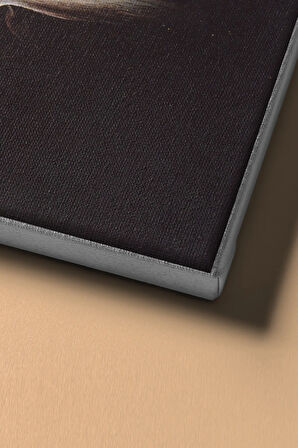 Sayılarla Boyama Seti Kasnaklı S.dali Eriyen Saatler 50 X 65 Cm