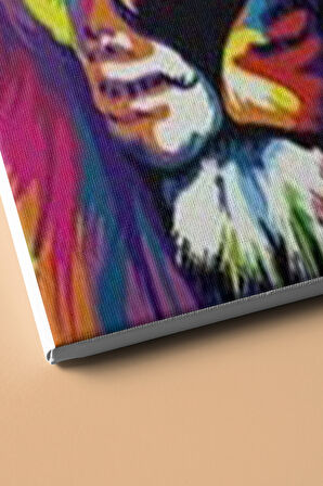 Sayılarla Boyama Seti Kasnaklı Renkli Aslan 50 X 65 Cm