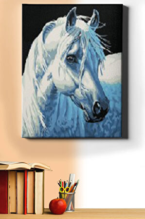Sayılarla Boyama Seti Kasnaklı Kırat 40 X 50 Cm