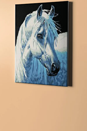 Sayılarla Boyama Seti Kasnaklı Kırat 60 X 75 Cm