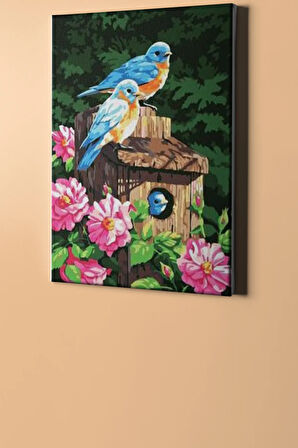 Sayılarla Boyama Seti Kasnaklı Muhabbet Kuşları 60 X 75 Cm