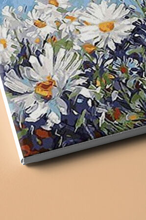 Sayılarla Boyama Seti Kasnaklı Papatyalar 60 X 75 Cm