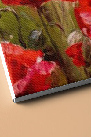 Sayılarla Boyama Seti Kasnaklı Gelincik 50 X 65 Cm