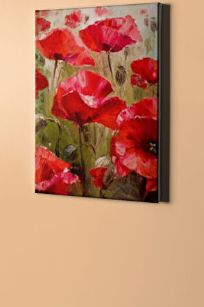 Sayılarla Boyama Seti Kasnaklı Gelincik 60 X 75 Cm