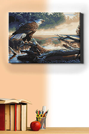 Sayılarla Boyama Seti Kasnaklı Kartal Bakışı 60 X 75 Cm