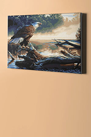 Sayılarla Boyama Seti Kasnaklı Kartal Bakışı 60 X 75 Cm