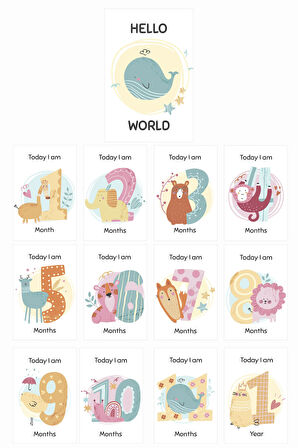 İngilizce Yenidoğan Bebek Aylık Fotoğraf Çekim Anı Kartı Baby Girl Hello World Milestone Cards