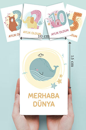 Yeni Doğan Bebek Aylık Fotoğraf Çekim Anı Kartı Milestone Cards Bebek Hediyesi