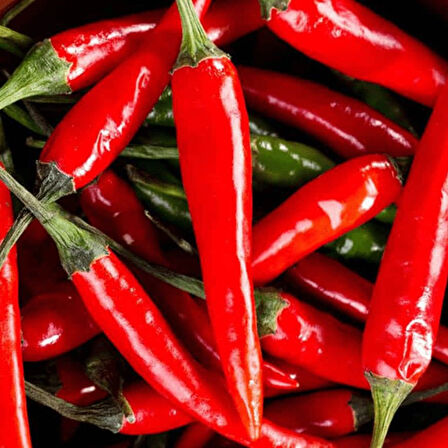 Ata Tohumları Geleneksel Malagueta Chili Acı Biber Tohumu (10 Tohum)