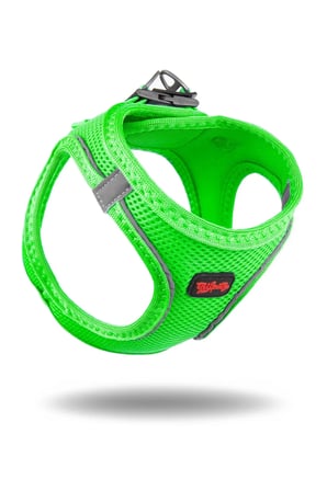 Air-mesh Küçük Ve Orta Irk Kedi Köpek Göğüs Tasması - Yumuşak, Nefes Alabilir, Dayanıklı Neon Yeşil