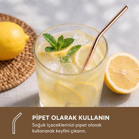 Nevamel® 6'lı Kaşıklı Pipet Seti - Bronz - Pipet Temizleme Fırçası