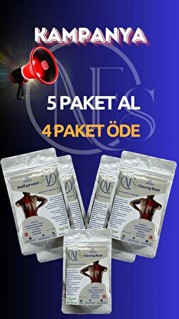 NFS GİNSENG BANT 25 ADET X 4 PAKET