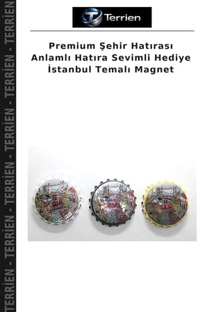 Premium Şehir Hatırası Anlamlı Hatıra Sevimli Hediye İstanbul Temalı Magnet