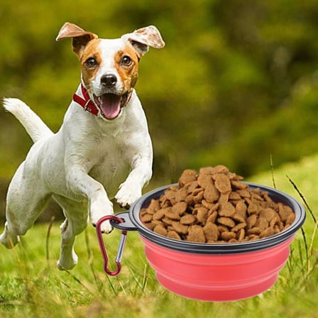 Bezos Katlanabilir Kedi Köpek Mama ve Su Kabı Köpek Oyuncağı NHR
