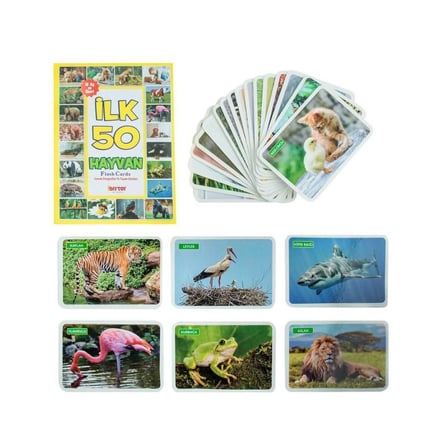 Bezos 1352FlashCardsİlk50Hayvan-Dıytoy NHR