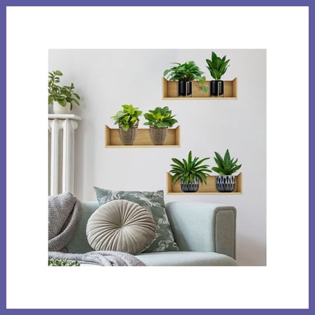 Bezos Raflı Bitki Tasarımlı Yapışkanlı Sticker 20*30 cm 3lü Set MC-663 NIDA