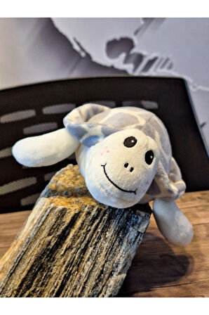 Caretta caretta Kaplumbağa Küçük