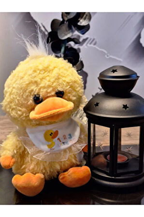 CAM GÖZ YAVRU ÖRDEK 23cM