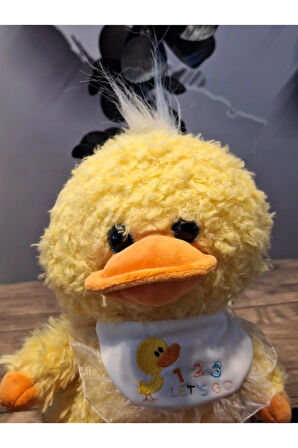 CAM GÖZ YAVRU ÖRDEK 23cM