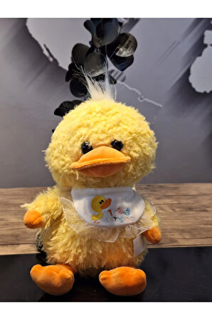 CAM GÖZ YAVRU ÖRDEK 23cM