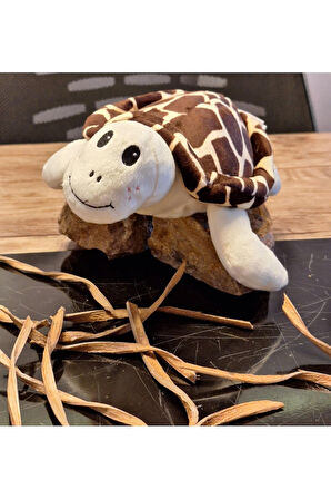 Caretta caretta Kaplumbağa Küçük