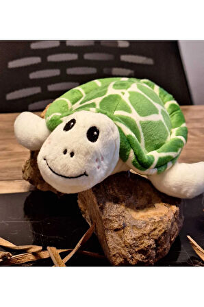 Caretta caretta Kaplumbağa Küçük