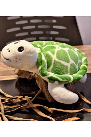 Caretta caretta Kaplumbağa Küçük