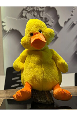 Çok tatlımı tatlı ördek 60cm