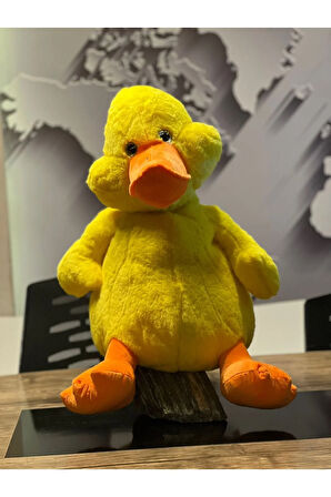 Çok tatlımı tatlı ördek 60cm