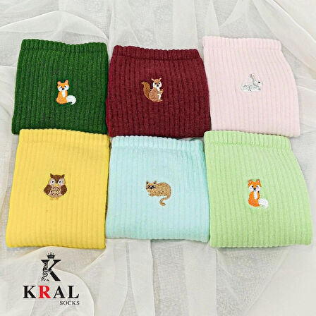 Kadın - Erkek 6 Çift Soft Renkli Nakışlı Tenis Çorap Soket Boy Unisex
